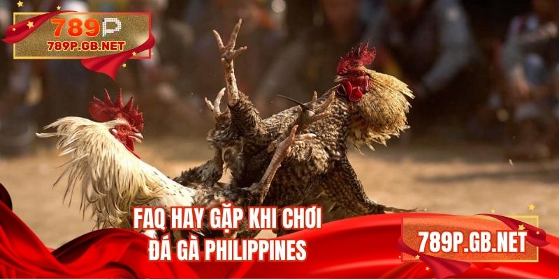 FAQ hay gặp khi chơi đá gà Philippines